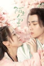 Nonton Drama China Special Lady (2023) Sub Indo