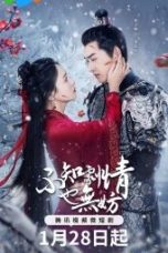 Nonton Drama China A Lucid Dream (2024) Sub Indo