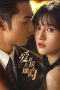 Nonton Drama China Undercover Affair (2024) Sub Indo