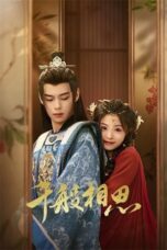 Nonton Drama China Eternal Lovesickness (2024) Sub Indo