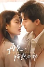 Nonton Drama China Go Back Lover (2024) Sub Indo